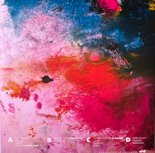 Olof Dreijer ~ Loud Bloom (Vinyl) - Djungel & Jazz