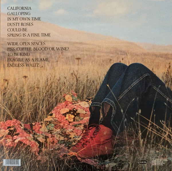 Alela Diane : Who's Keeping Time? (LP, Album)