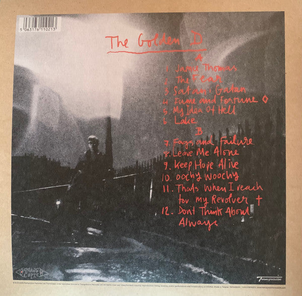 Graham Coxon ~ The Golden D (Vinyl) - Djungel & Jazz