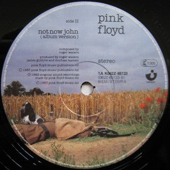 Pink Floyd ~ Not Now John (Vinyl) - Djungel & Jazz
