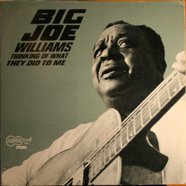 Big Joe Williams ~ Thinking Of What They Did To Me (Vinyl) - Djungel & Jazz