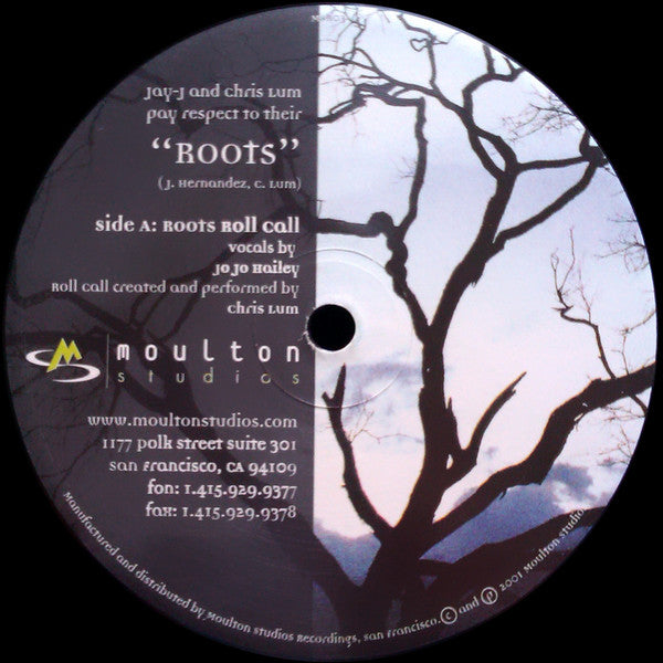 Jay-J & Chris Lum ~ Roots (Vinyl) - Djungel & Jazz