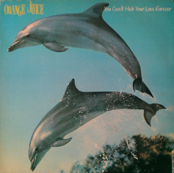 Orange Juice  ~ You Can't Hide Your Love Forever (Vinyl) - Djungel & Jazz