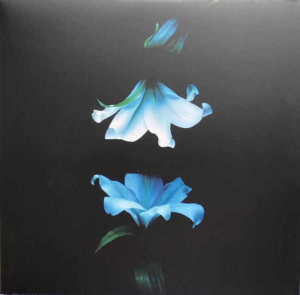 Wasia Project : Nocturne (LP, S/Edition)