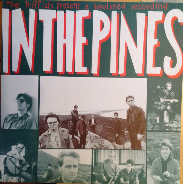 The Triffids ~ In The Pines (Vinyl) - Djungel & Jazz