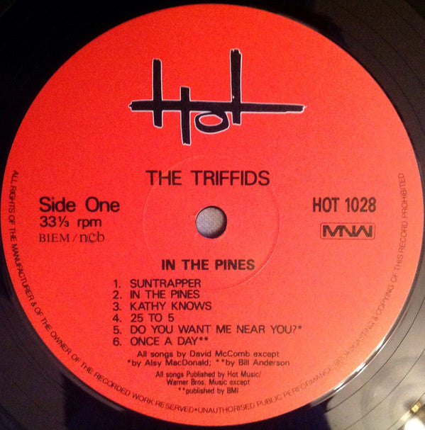 The Triffids ~ In The Pines (Vinyl) - Djungel & Jazz