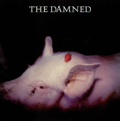 The Damned ~ Strawberries (Vinyl) - Djungel & Jazz