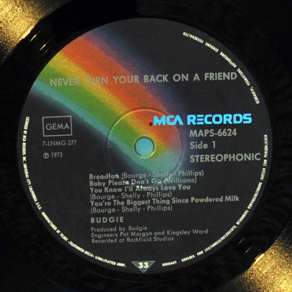 Budgie ~ Never Turn Your Back On A Friend (Vinyl) - Djungel & Jazz