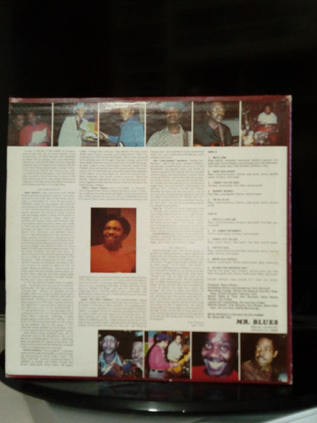 George "Mojo" Buford ~ Mojo Buford's Chicago Blues Summit (Vinyl) - Djungel & Jazz
