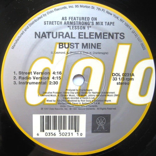 Natural Elements ~ Bust Mine / Paper Chase (Vinyl) - Djungel & Jazz