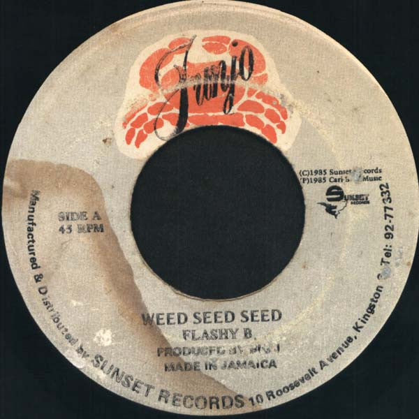 Flashy B : Weed Seed Seed (7")