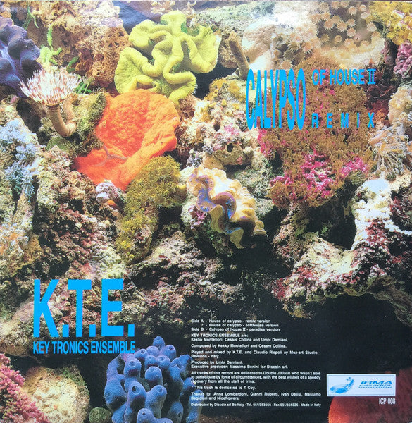 Key Tronics Ensemble : House Of Calypso II Remix (12", Pic)