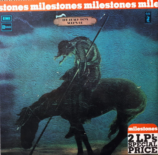 The Beach Boys ~ Sunflower / Surf's Up (Vinyl) - Djungel & Jazz
