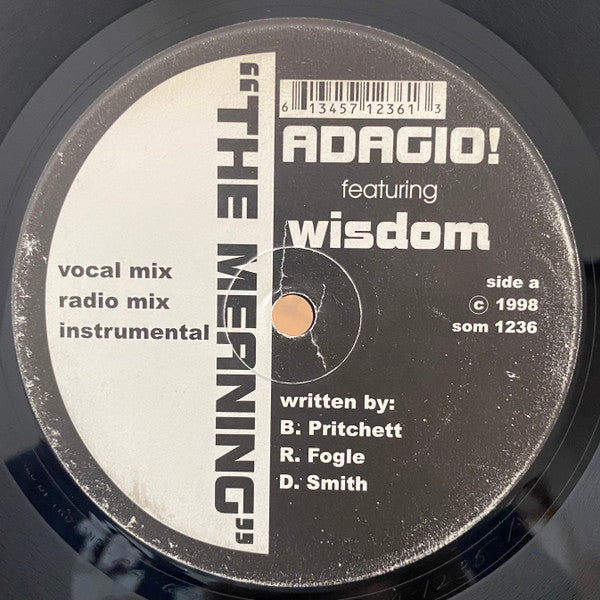 Adagio! ~ The Meaning / Listening Pleasure (Remix) (Vinyl) - Djungel & Jazz