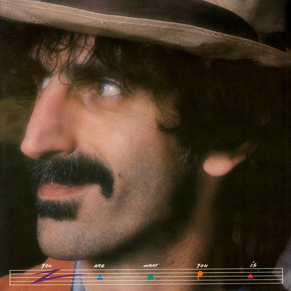 Frank Zappa ~ You Are What You Is (Vinyl) - Djungel & Jazz