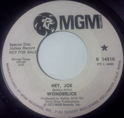 Wonderlick ~ Hey, Joe / Come On People (Vinyl) - Djungel & Jazz