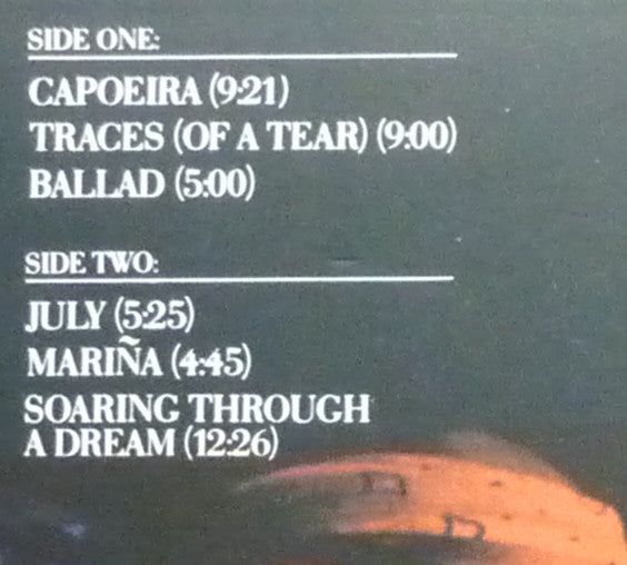 Al Di Meola Project ~ Soaring Through A Dream (Vinyl) - Djungel & Jazz