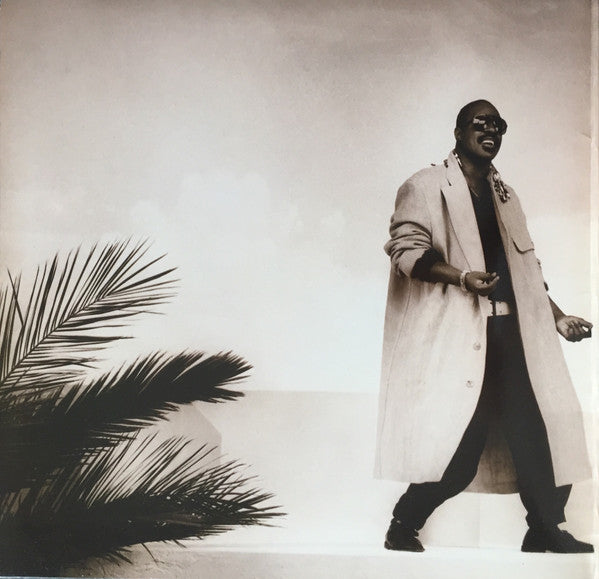 Stevie Wonder ~ In Square Circle (Vinyl) - Djungel & Jazz