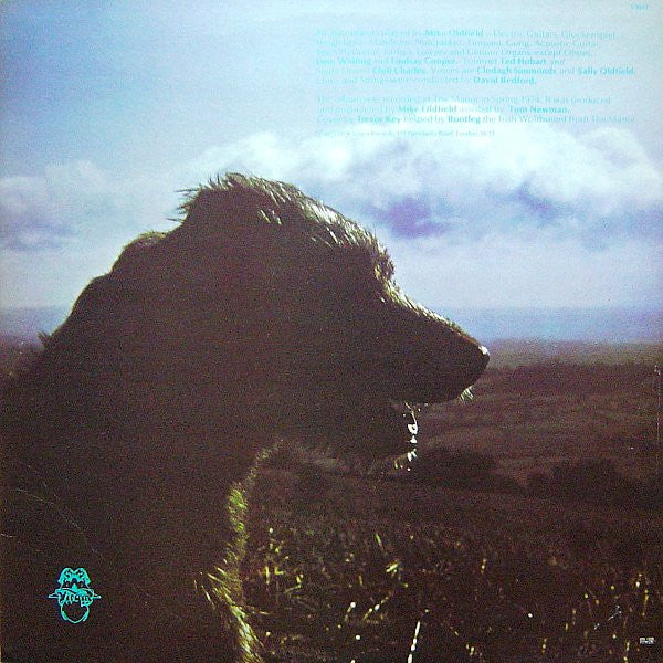 Mike Oldfield ~ Hergest Ridge (Vinyl) - Djungel & Jazz