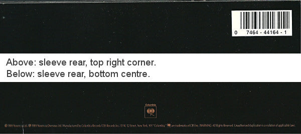 Kate Bush ~ The Sensual World (Vinyl) - Djungel & Jazz