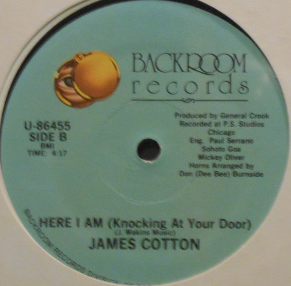 James Cotton : Part Time Love (12")