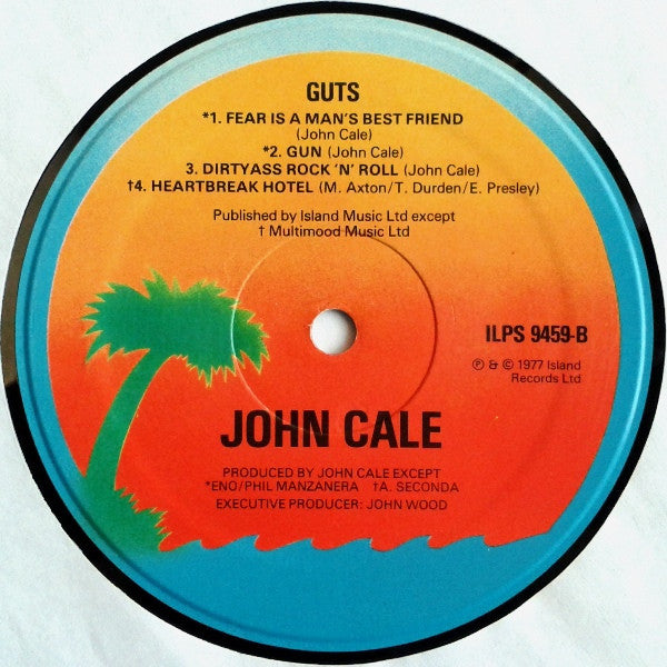 John Cale ~ Guts (Vinyl) - Djungel & Jazz