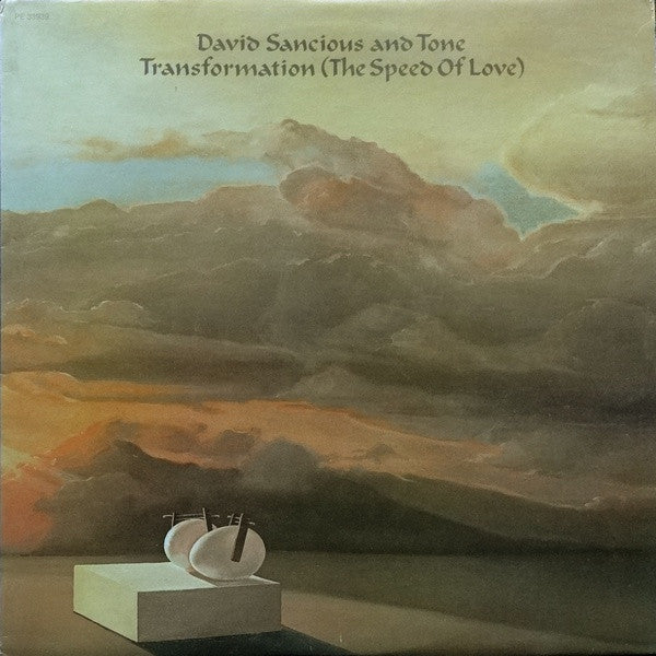 David Sancious And Tone ~ Transformation (The Speed Of Love) (Vinyl) - Djungel & Jazz
