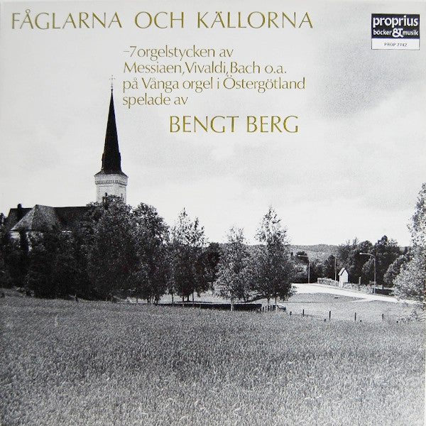 Bengt Berg ~ Fåglarna Och Källorna (Vinyl) - Djungel & Jazz