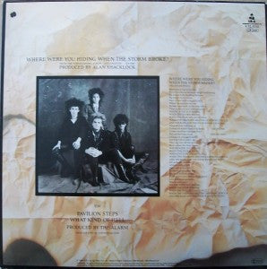The Alarm ~ Where Were You Hiding When The Storm Broke? (Vinyl) - Djungel & Jazz