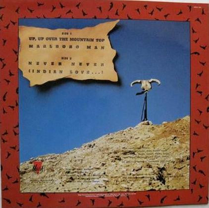 Disneyland After Dark ~ Standin' On The Never Never (Vinyl) - Djungel & Jazz