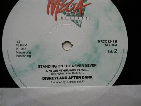 Disneyland After Dark ~ Standin' On The Never Never (Vinyl) - Djungel & Jazz