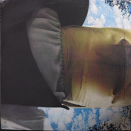 Donovan ~ The World Of Donovan (Vinyl) - Djungel & Jazz