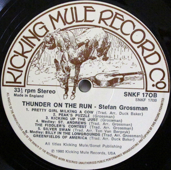 Stefan Grossman ~ Thunder On The Run (Vinyl) - Djungel & Jazz