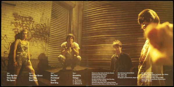 Sonic Youth ~ Daydream Nation (Vinyl) - Djungel & Jazz