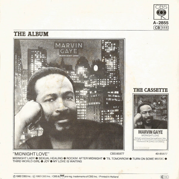 Marvin Gaye ~ Sexual Healing (Vinyl) - Djungel & Jazz