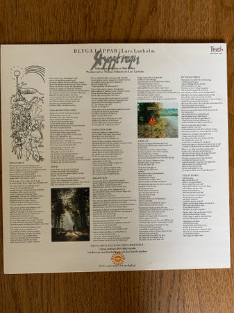 Blyga Läppar / Lars Larholm ~ Styggt Regn (Vinyl) - Djungel & Jazz