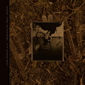 Pixies – C'mon Pilgrim...It's Surfer Rosa (LP)