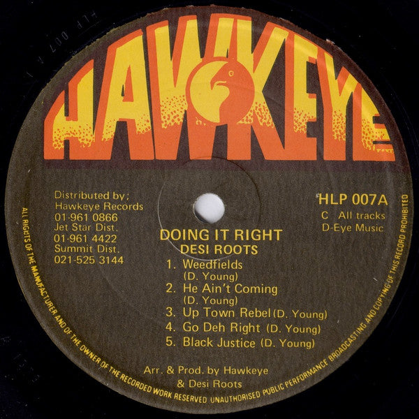 Desi Roots : Doing It Right (LP, Album)