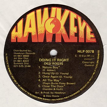 Desi Roots : Doing It Right (LP, Album)