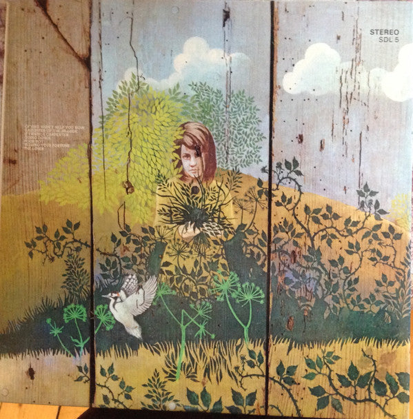 Chicken Shack ~ Imagination Lady (Vinyl) - Djungel & Jazz