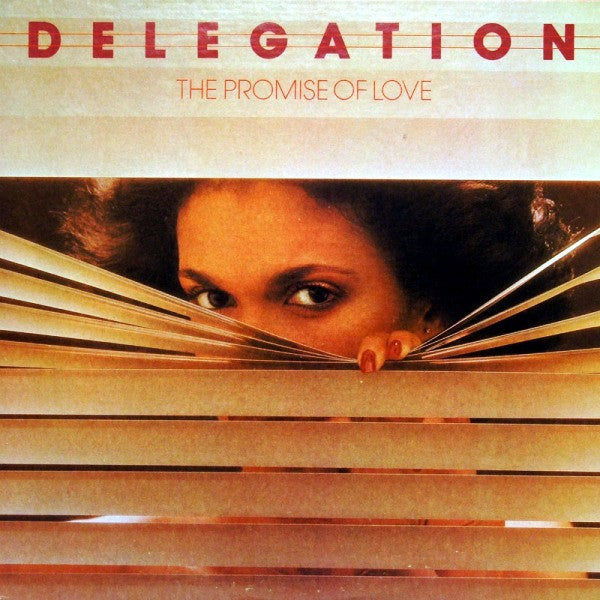 Delegation ~ The Promise Of Love (Vinyl) - Djungel & Jazz