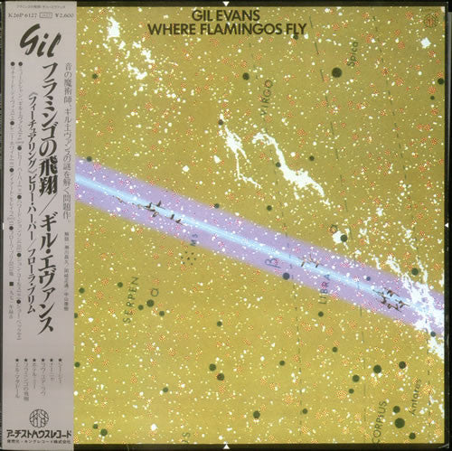Gil Evans ~ Where Flamingos Fly (Vinyl) - Djungel & Jazz