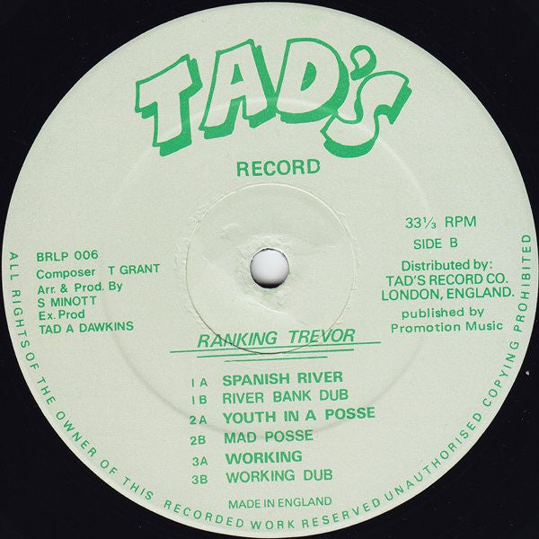 Ranking Trevor : Presenting Ranking Trevor (LP)