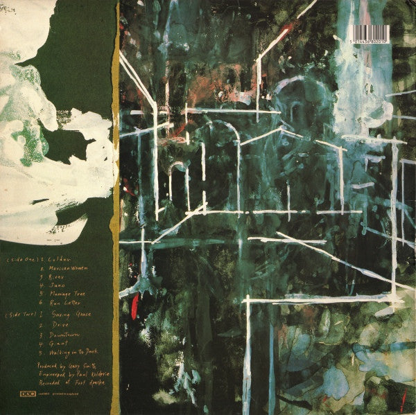 Throwing Muses ~ House Tornado (Vinyl) - Djungel & Jazz