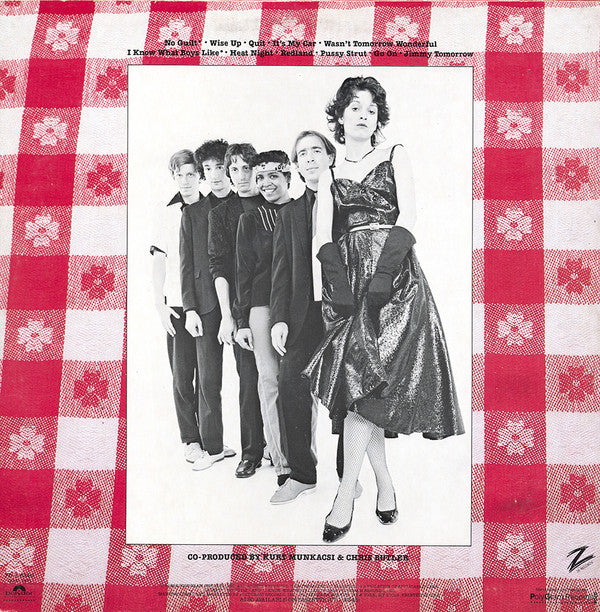 The Waitresses ~ Wasn't Tomorrow Wonderful? (Vinyl) - Djungel & Jazz