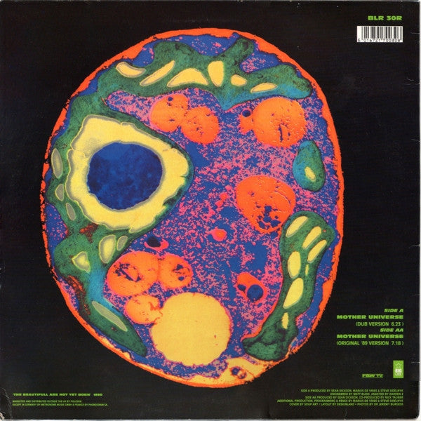 The Soup Dragons ~ Mother Universe Remix (Vinyl) - Djungel & Jazz