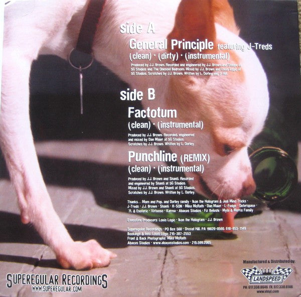 Louis Logic ~ General Principle (Vinyl) - Djungel & Jazz