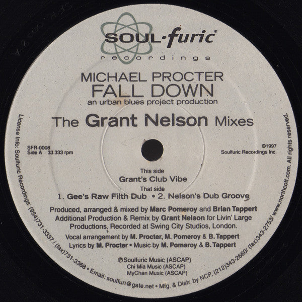 Michael Procter ~ Fall Down (The Grant Nelson Mixes) (Vinyl) - Djungel & Jazz