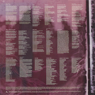 Alanis Morissette ~ Supposed Former Infatuation Junkie (Vinyl) - Djungel & Jazz