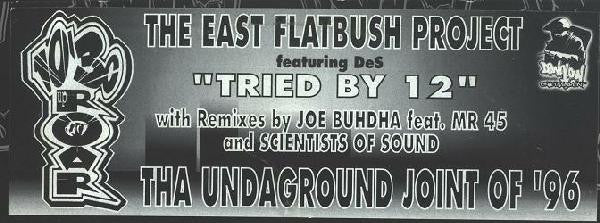 East Flatbush Project ~ Tried By 12 (Vinyl) - Djungel & Jazz